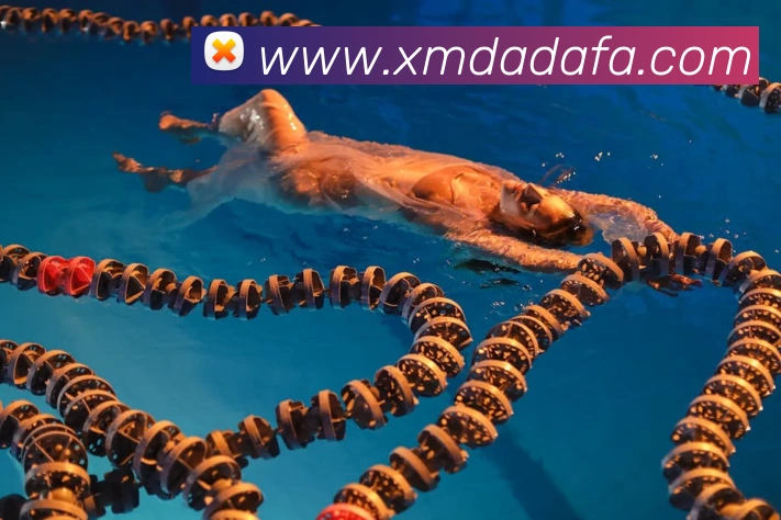 大发彩票发展历程